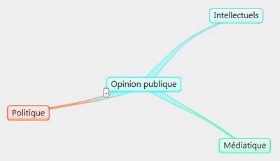 Figure 1 : les trois piliers de l'opinion publique française